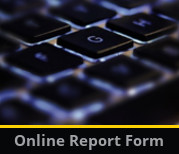 Academic online report